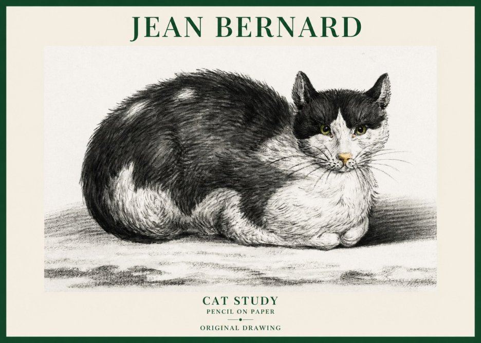 Jean Bernard Cat Study II No6 - Plakat