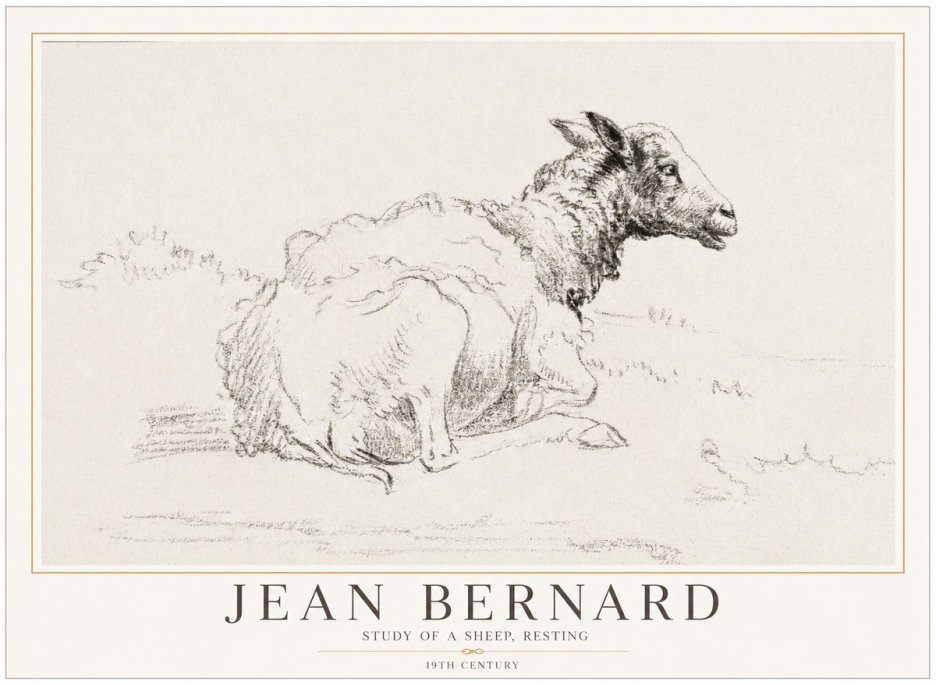 Jean Bernard Sheep Resting No5 - Plakat