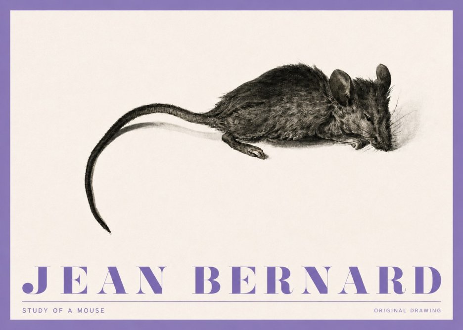 Jean Bernard Study of a Mouse I No4 - Plakat