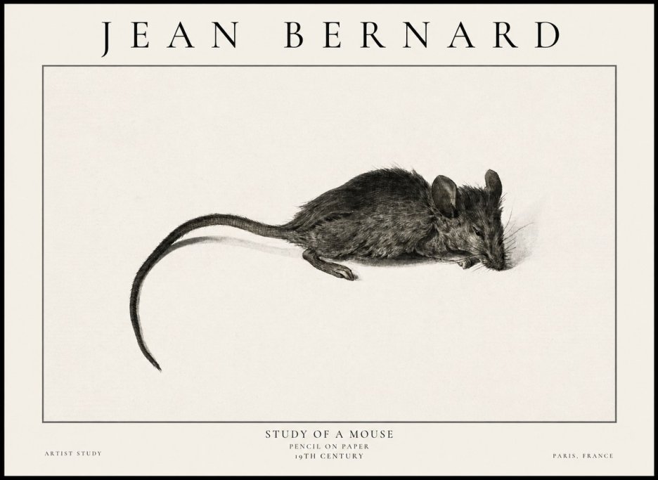 Jean Bernard Study of a Mouse I No6 - Plakat