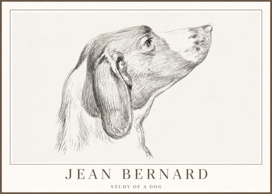 Jean Bernard Study of a Dog I No2 - Plakat