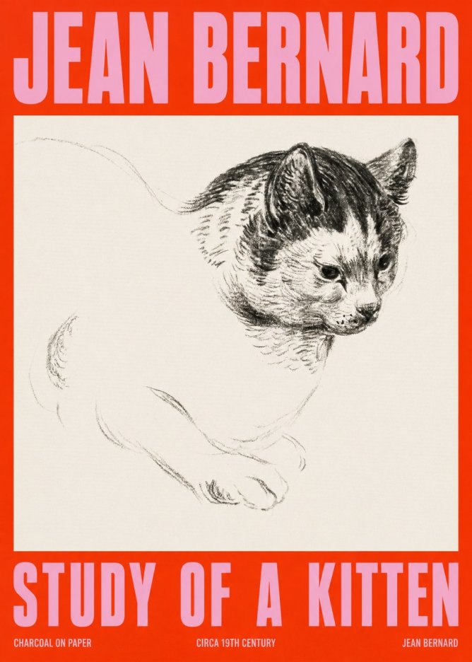 Jean Bernard Study of a Kitten I No2 - Plakat