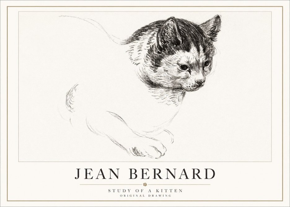 Jean Bernard Study of a Kitten I No5 - Plakat