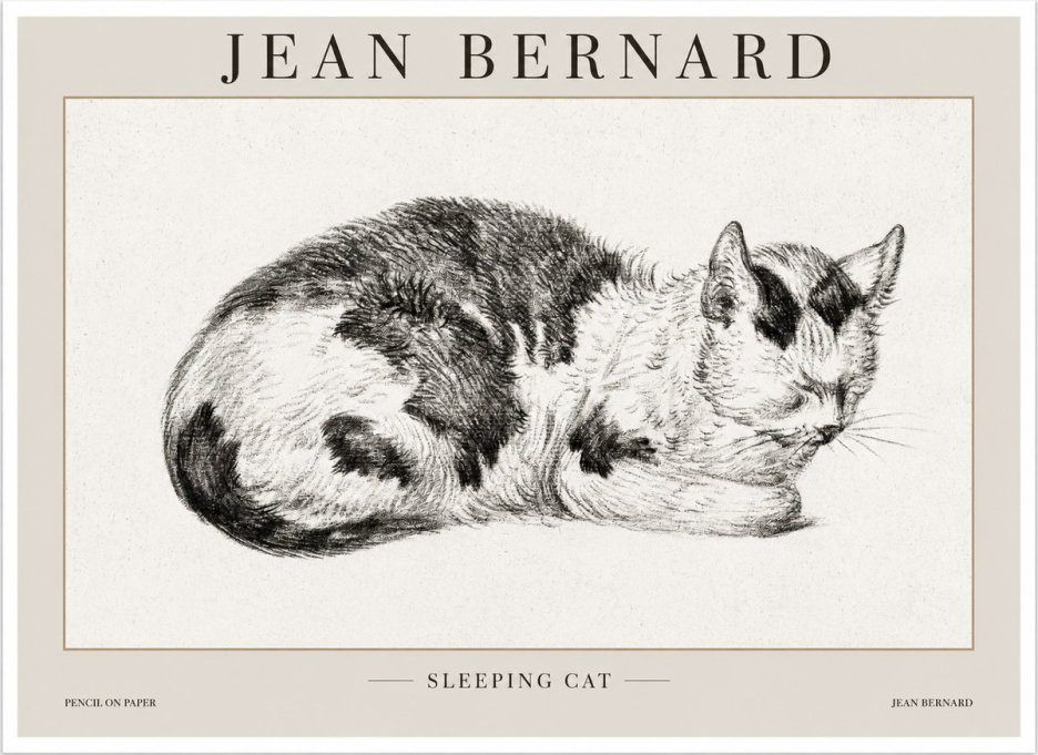 Jean Bernard Sleeping Cat I No1 - Plakat