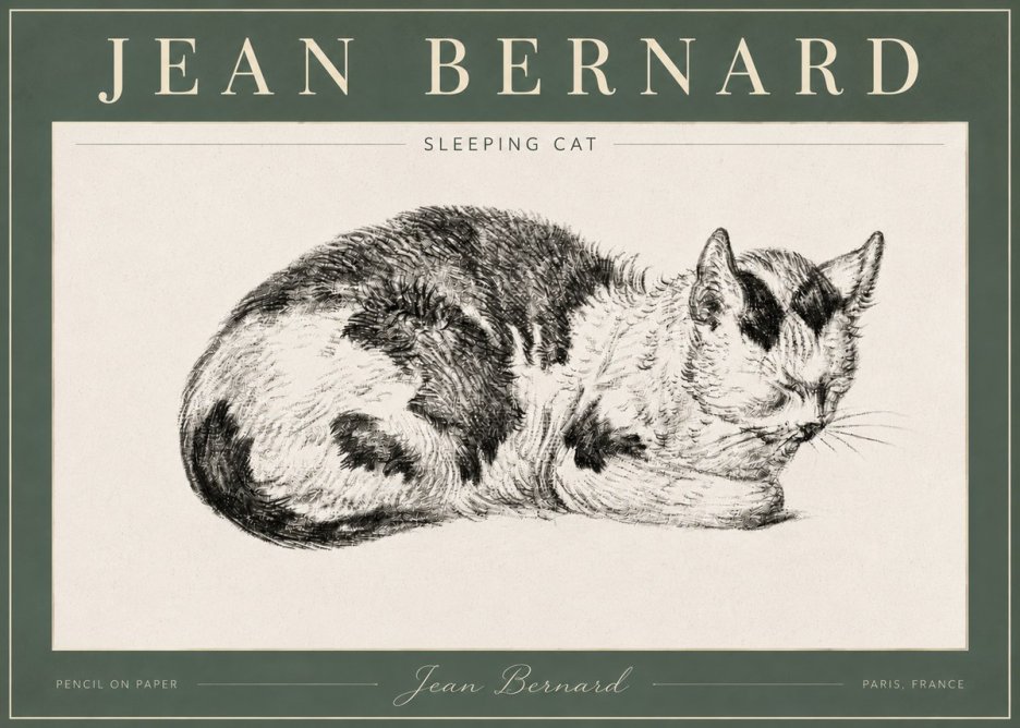 Jean Bernard Sleeping Cat I No4 - Plakat