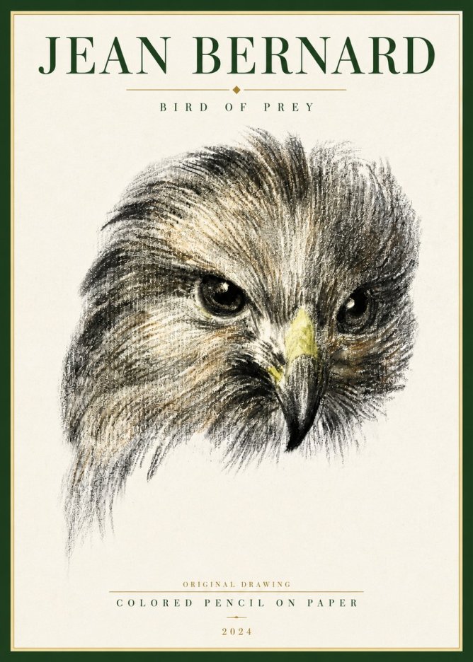 Jean Bernard Bird of Prey No4 - Plakat
