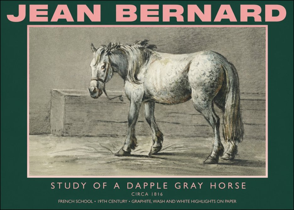Jean Bernard Study of a Dapple Gray Horse No4 - Plakat