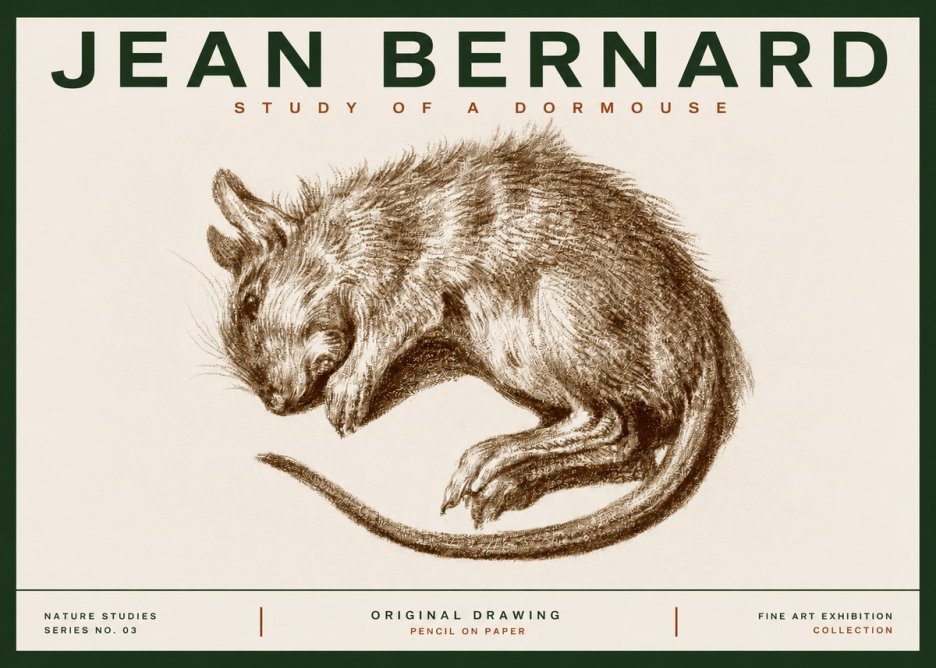 Jean Bernard Study of a Dormouse No3 - Plakat