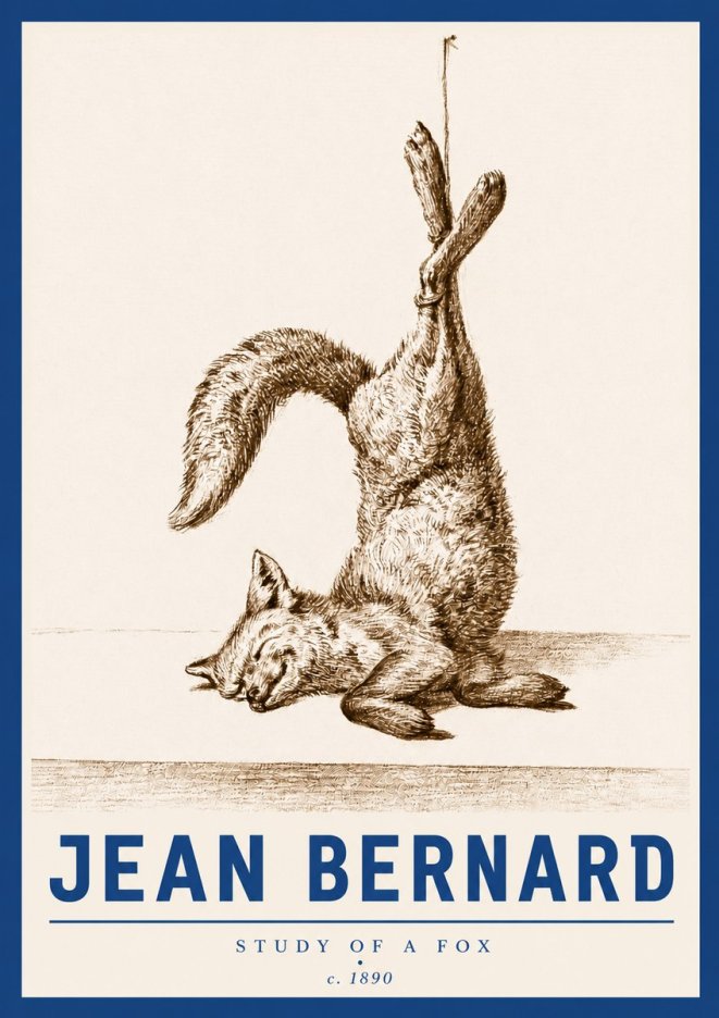 Jean Bernard Study of a Fox No4 - Plakat