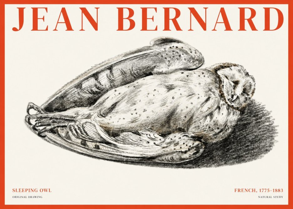 Jean Bernard Sleeping Owl No1 - Plakat