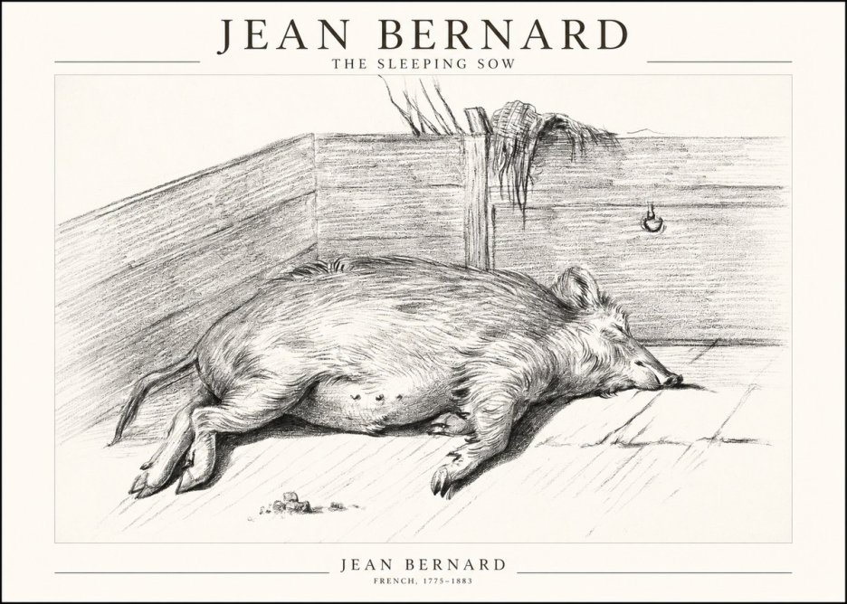 Jean Bernard The Sleeping Sow No1 - Plakat