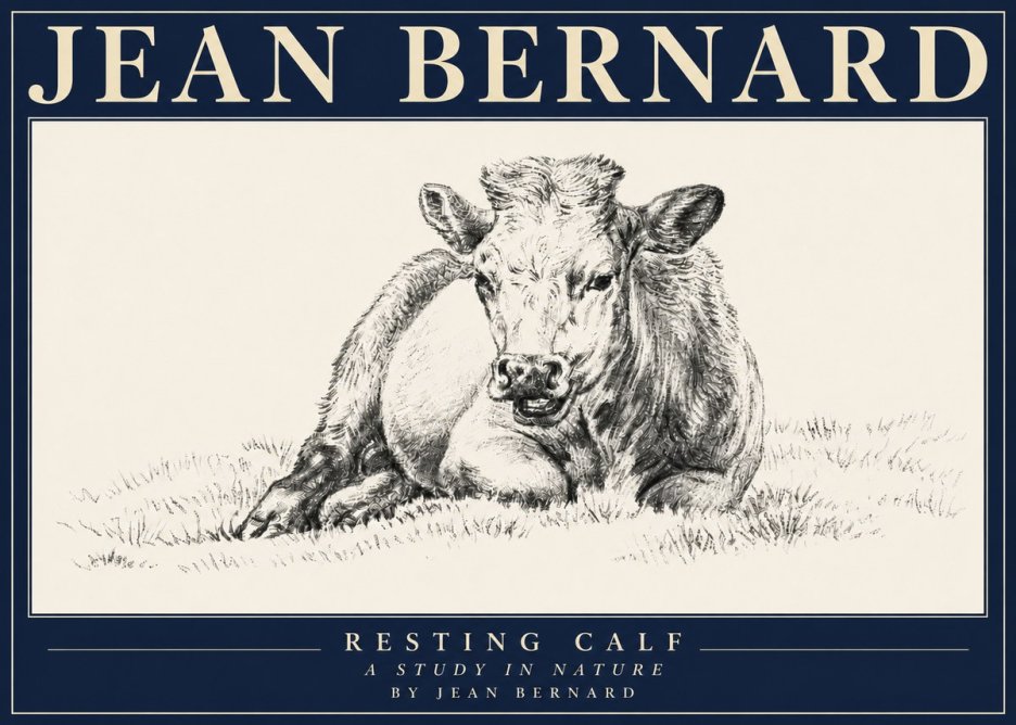Jean Bernard Resting Calf I No4 - Plakat