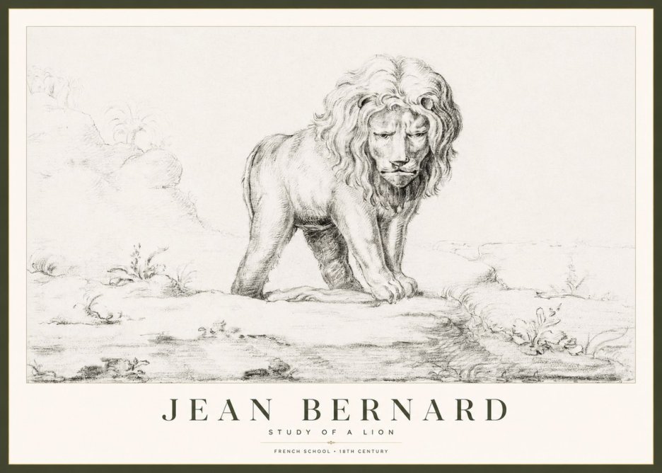 Jean Bernard Study of a Lion I No1 - Plakat