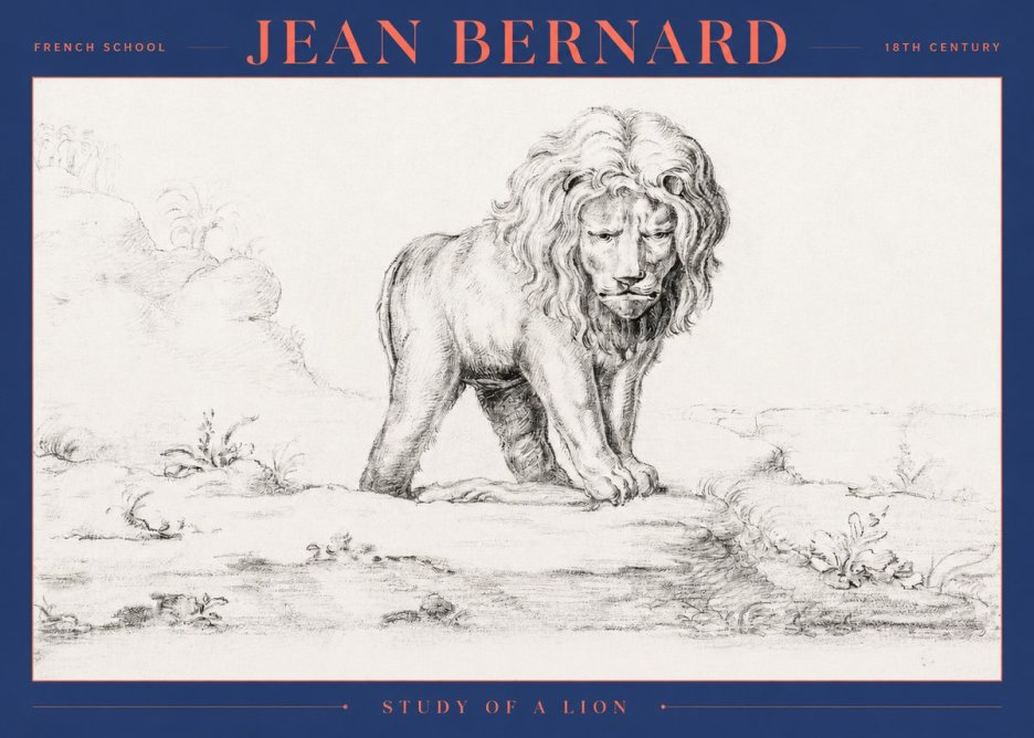 Jean Bernard Study of a Lion I No2 - Plakat