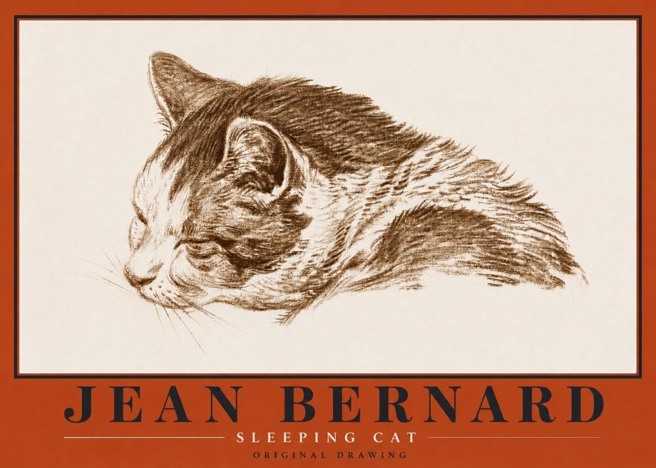 Jean Bernard Sleeping Cat II No5 - Plakat