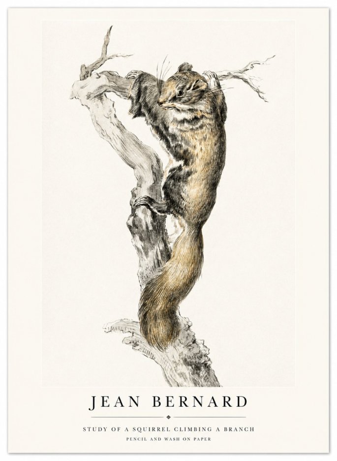 Jean Bernard Study of a Squirrel Climbing a Branch No1 - Plakat