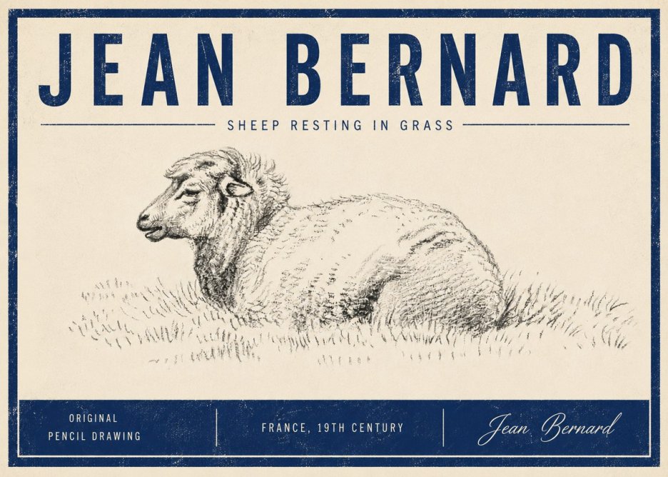 Jean Bernard Sheep Resting in Grass No5 - Plakat
