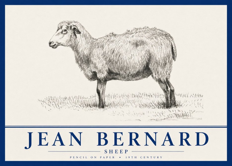 Jean Bernard Sheep No4 - Plakat