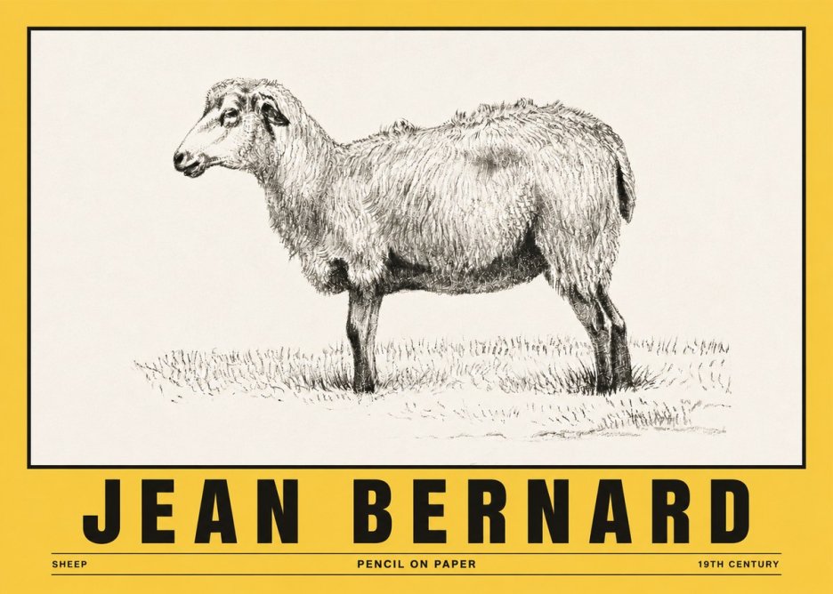 Jean Bernard Sheep No5 - Plakat