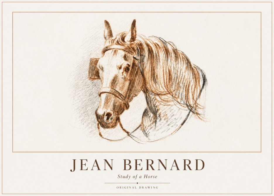 Jean Bernard Study of a Horse V No1 - Plakat