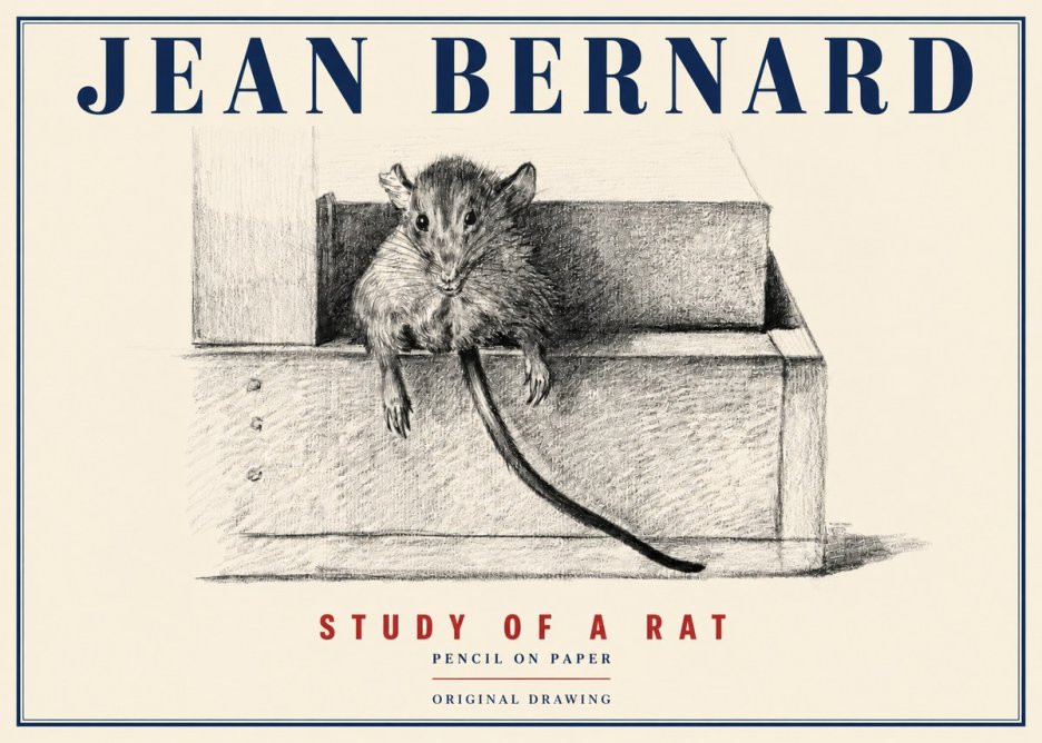 Jean Bernard Study of a Rat I No4 - Plakat