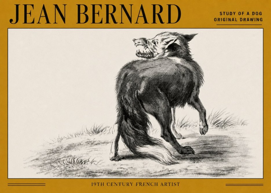 Jean Bernard Study of a Dog II No5 - Plakat