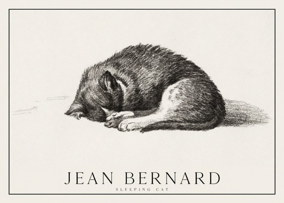 Jean Bernard Sleeping Cat III No1 - Plakat