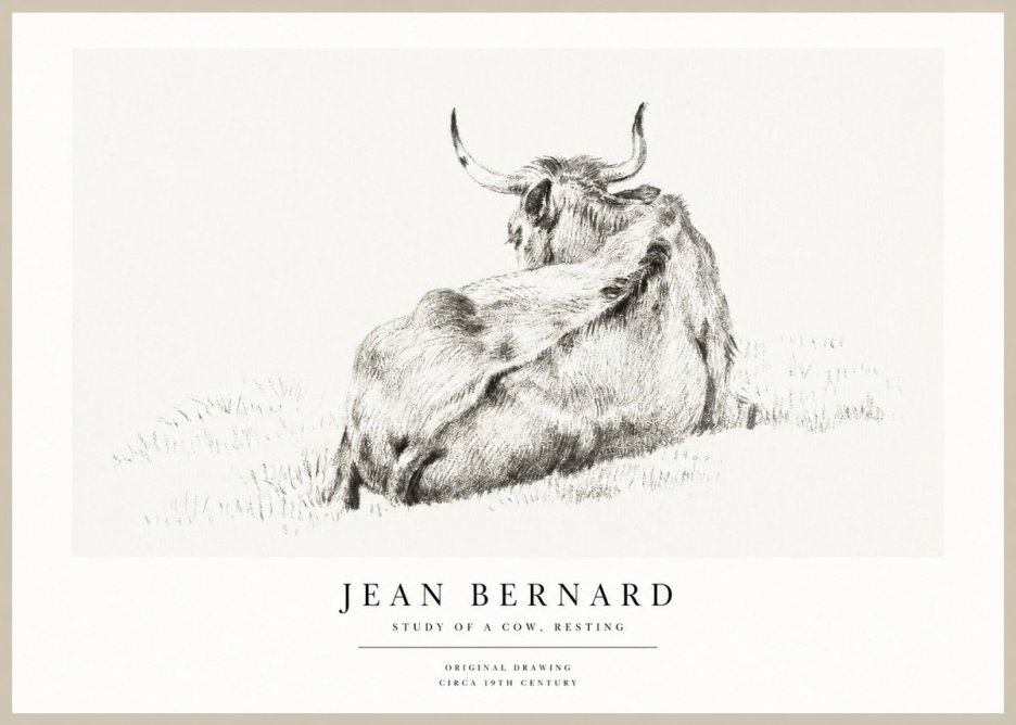Jean Bernard Resting Bovine - Study in Graphite No2 - Plakat