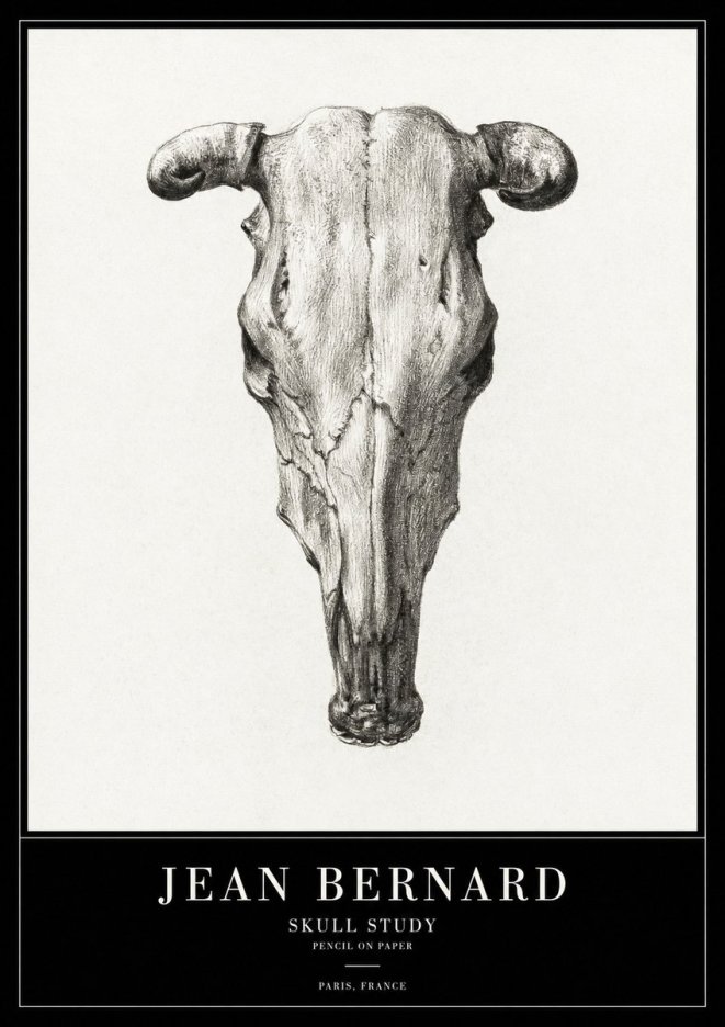 Jean Bernard Skull Study No2 - Plakat