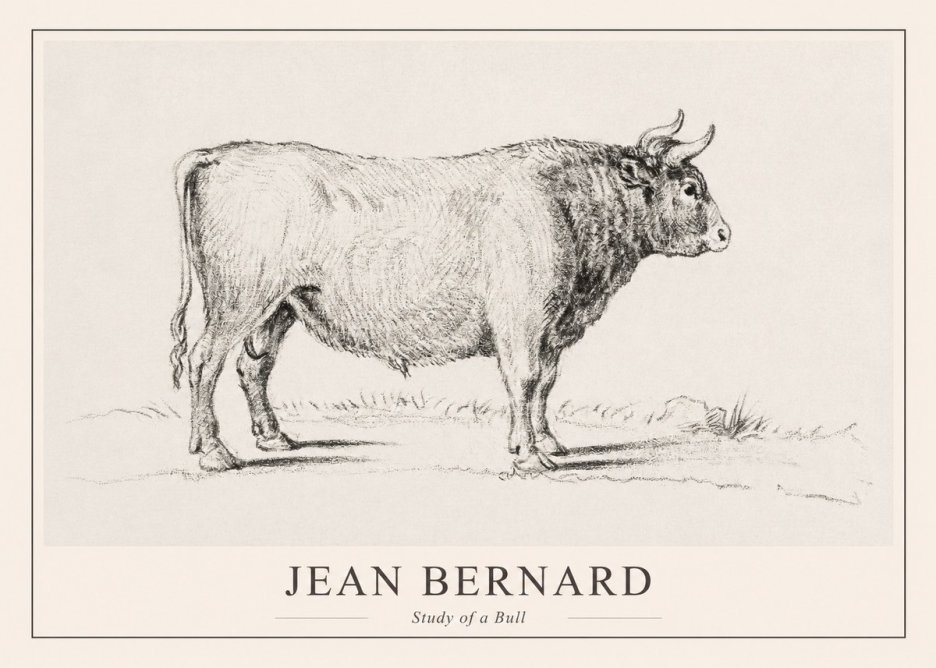 Jean Bernard Study of a Bull I No1 - Plakat