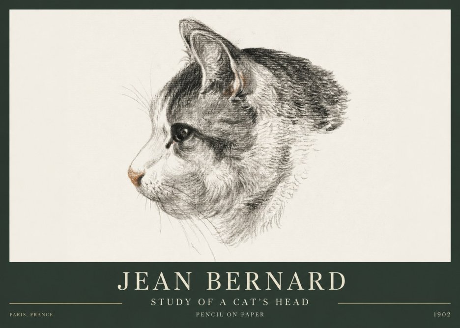 Jean Bernard Cat Study, Profile No4 - Plakat