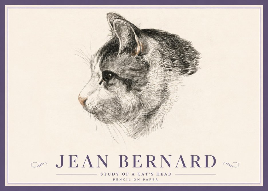 Jean Bernard Cat Study, Profile No5 - Plakat