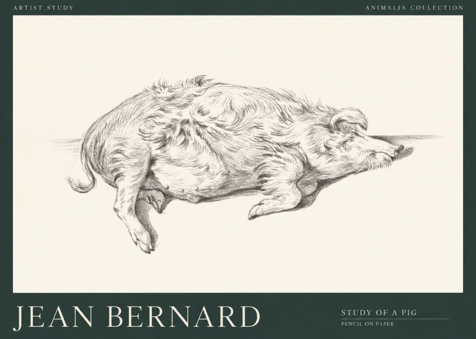 Jean Bernard Study of a Pig I No1 - Plakat