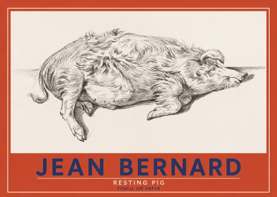 Jean Bernard Study of a Pig I No4 - Plakat