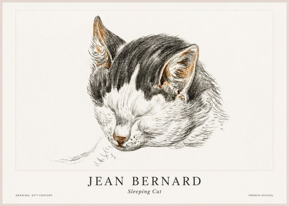 Jean Bernard Sleeping Cat V No1 - Plakat