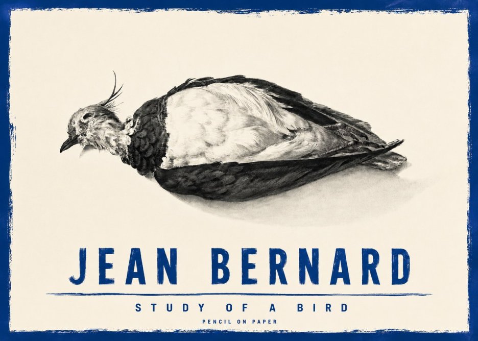 Jean Bernard Study of a Bird II No4 - Plakat