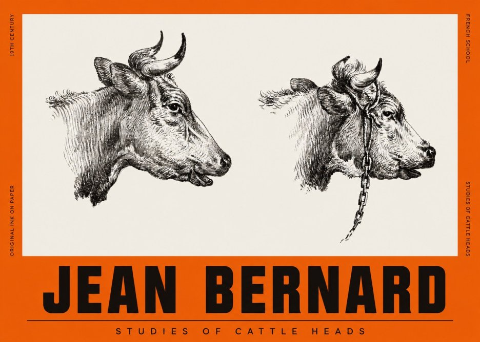 Jean Bernard Studies of Cattle Heads No2 - Plakat