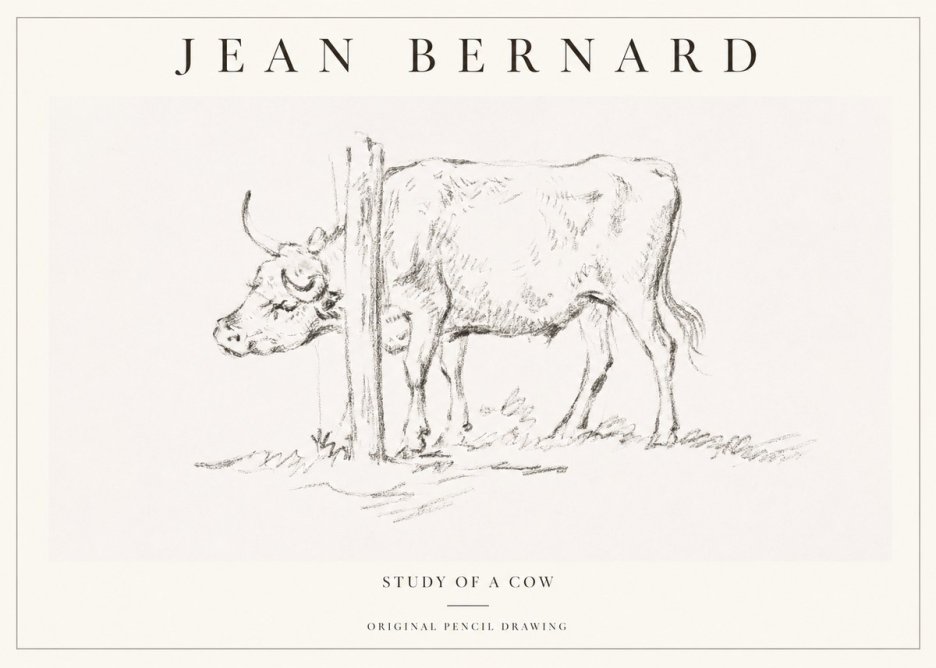 Jean Bernard Study of a Cow VII No1 - Plakat