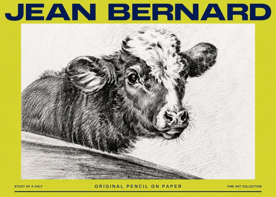 Jean Bernard Study of a Calf II No4 - Plakat