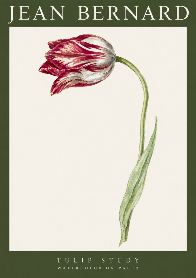 Jean Bernard Tulip Study No3 - Plakat