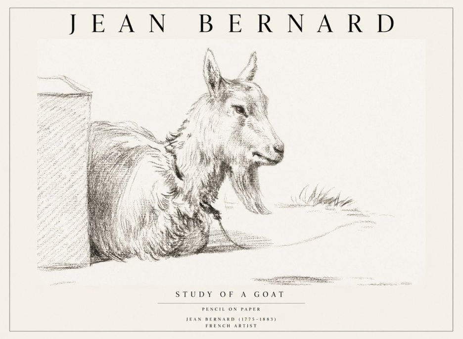 Jean Bernard Study of a Goat IV No1 - Plakat