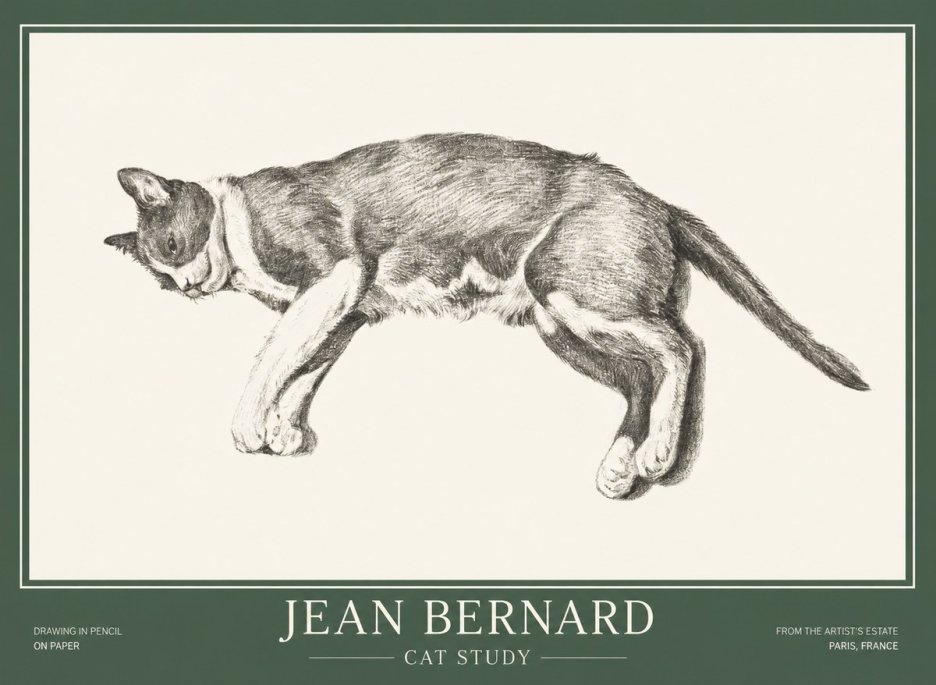 Jean Bernard Cat Study VII No1 - Plakat
