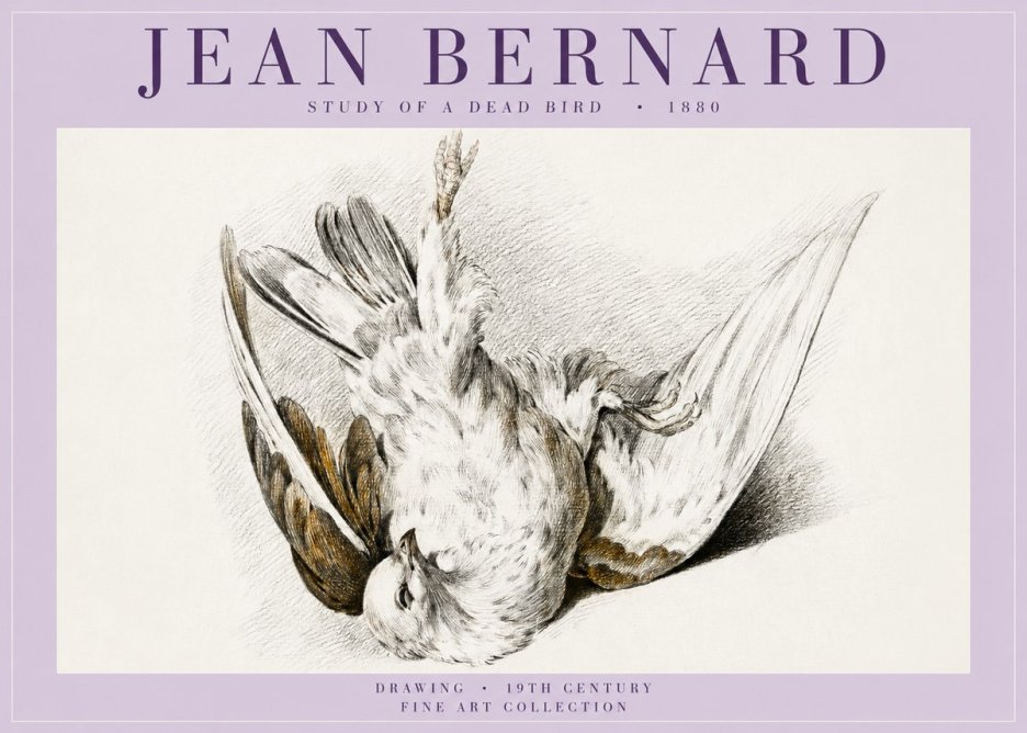 Jean Bernard Study of a Dead Bird No5 - Plakat