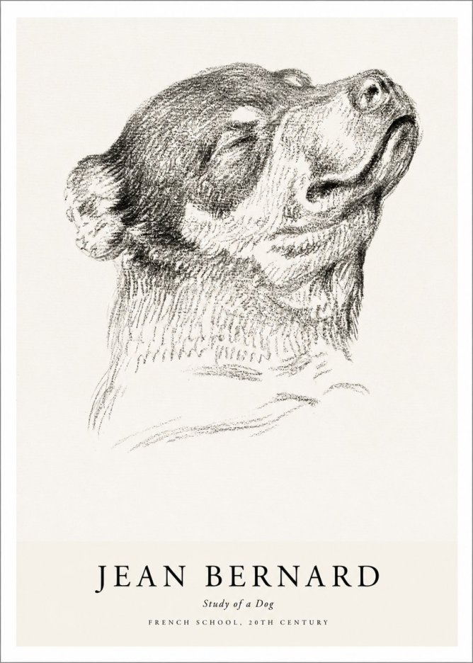 Jean Bernard Study of a Dog III No1 - Plakat
