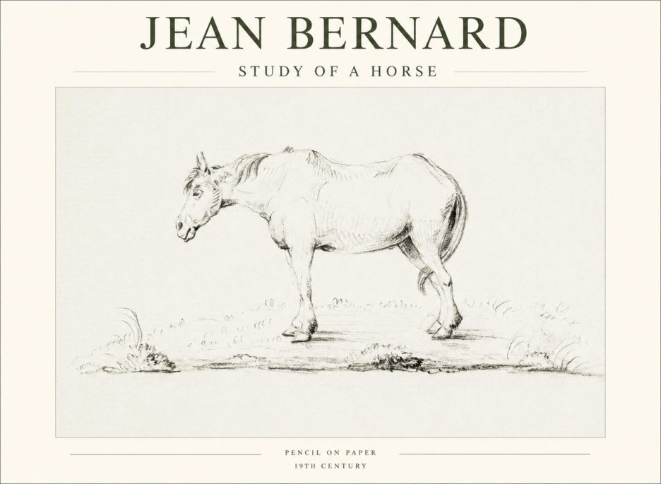 Jean Bernard Study of a Horse IX No1 - Plakat