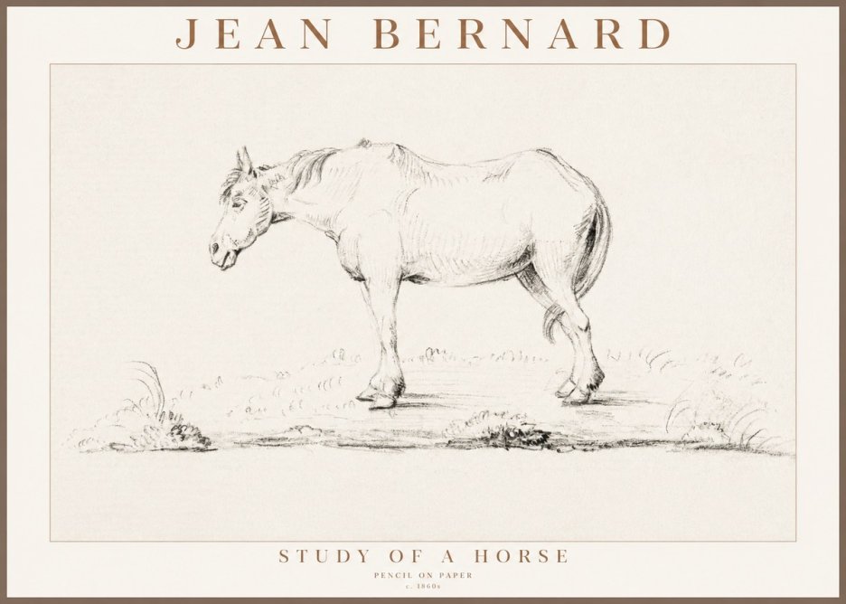 Jean Bernard Study of a Horse IX No3 - Plakat