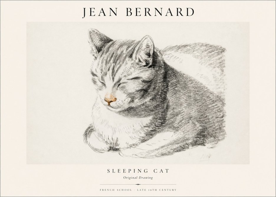 Jean Bernard Sleeping Cat VI No1 - Plakat