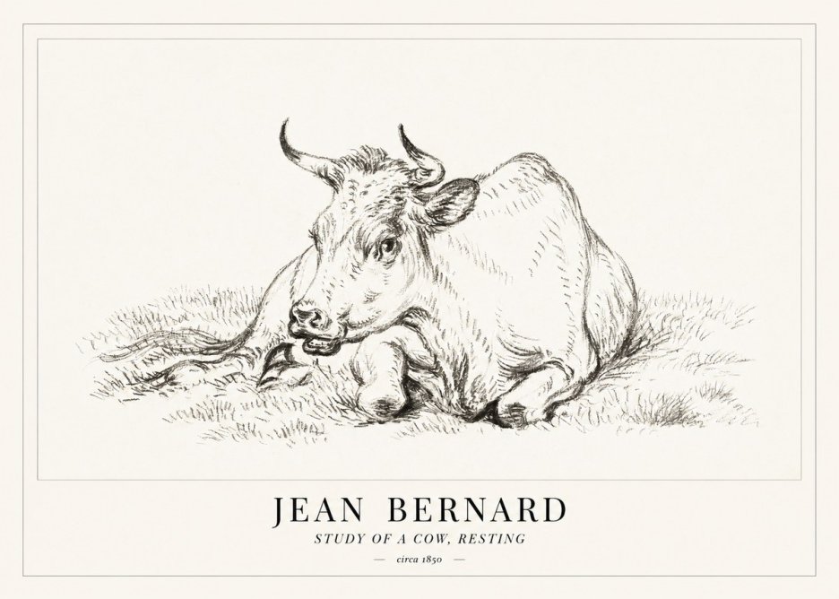 Jean Bernard Study of a Cow, Resting No1 - Plakat