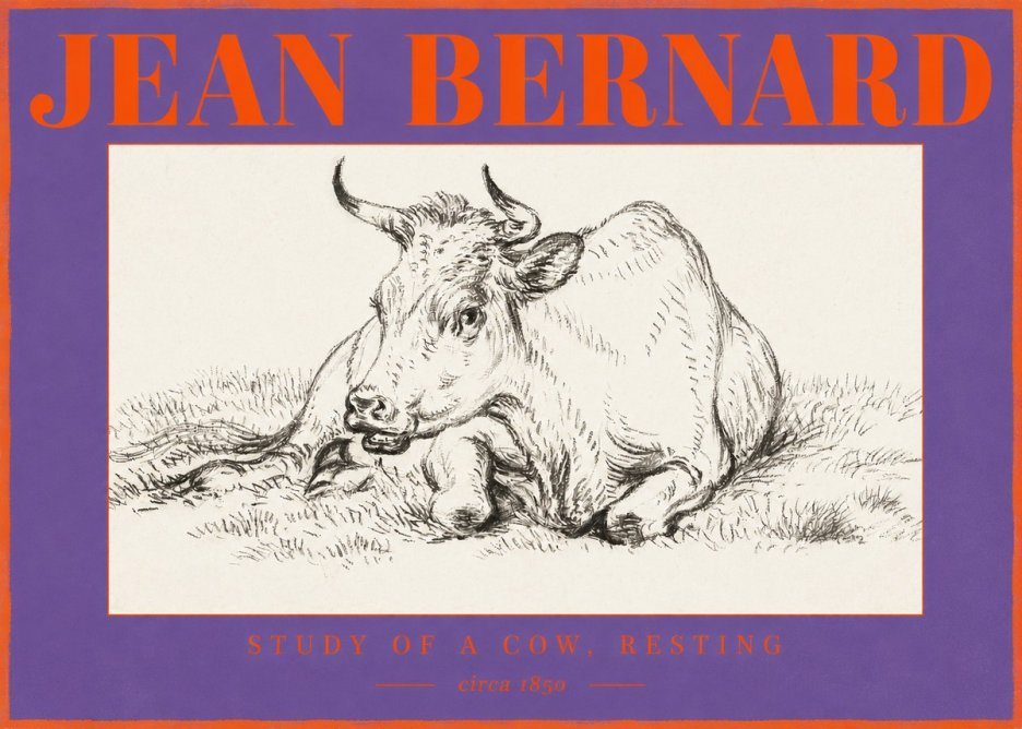 Jean Bernard Study of a Cow, Resting No2 - Plakat