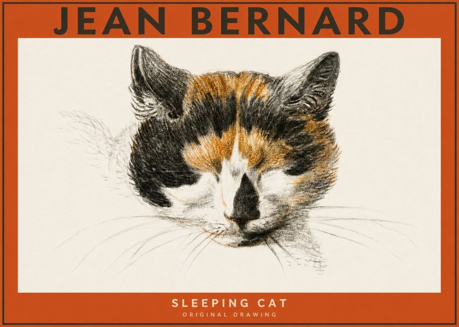 Jean Bernard Cat Study VIII No5 - Plakat